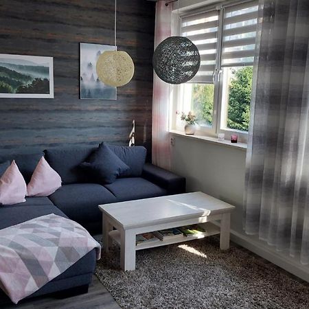 Ferienwohnung Alte Stepperei 슈바르첸베르크 외부 사진