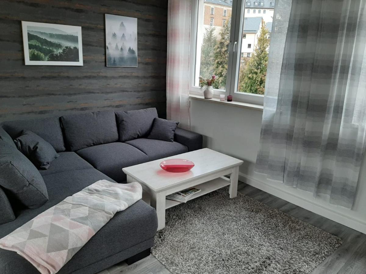 Ferienwohnung Alte Stepperei 슈바르첸베르크 외부 사진